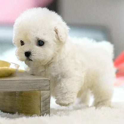Interactive Plush Puppy Toy